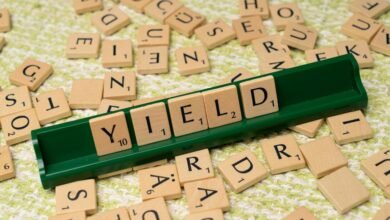 dividend yield investment group