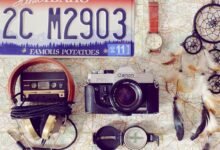 case identification number 3304307013