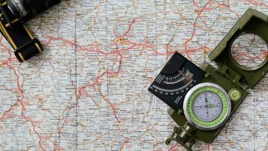 comprehensive overview guide