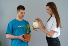 free courses enhance education
