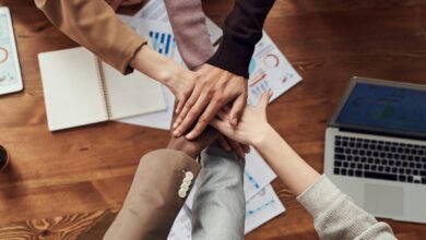 sustainable business bookkeeping guide