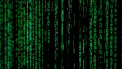 key findings for specific numbers