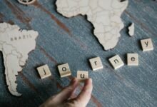 cross dataset pattern discovery summary