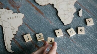 cross dataset pattern discovery summary