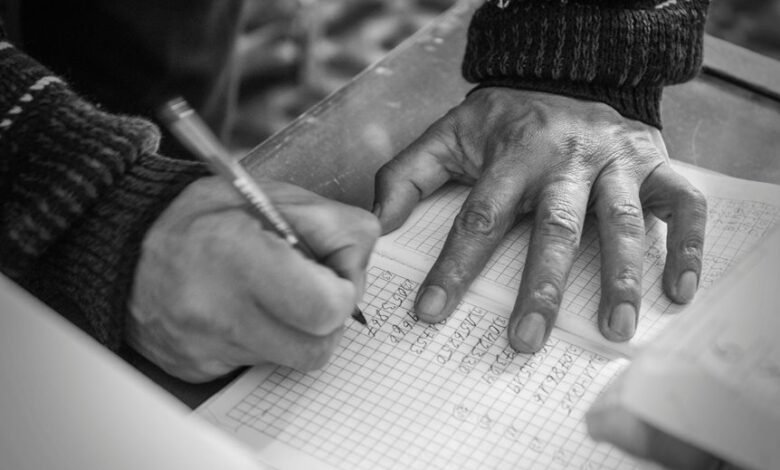 numeric data analysis report