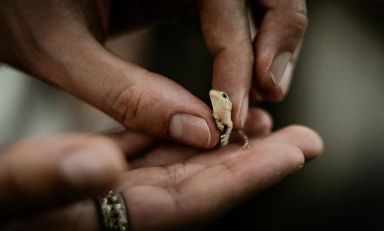 statistical interaction observation register